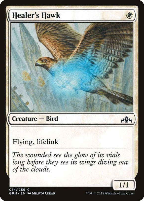 Healer's Hawk - GRN - Common