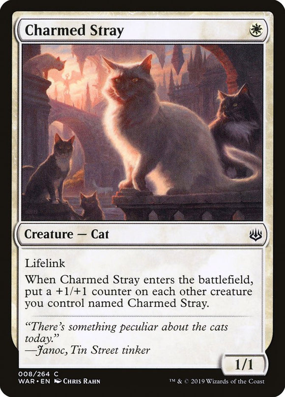 Charmed Stray - WAR - Common