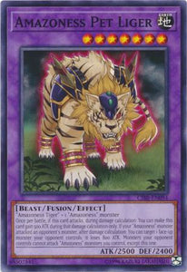 Amazoness Pet Liger - CIBR-EN094 - Common - Unlimited