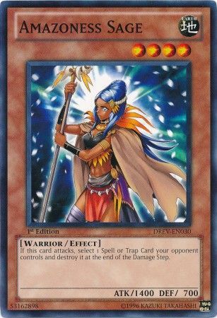 Amazoness Sage - DREV-EN030 - Common - 1st Edition