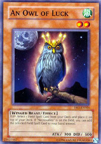 An Owl of Luck - DR1-EN021 - Common - Unlimited