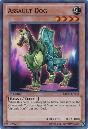 Assault Dog - DRLG-EN033 - Super Rare - 1st Edition