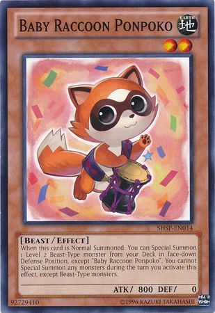 Baby Raccoon Ponpoko - SHSP-EN014 - Common - Unlimited