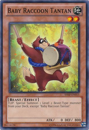 Baby Raccoon Tantan - SHSP-EN015 - Common - Unlimited