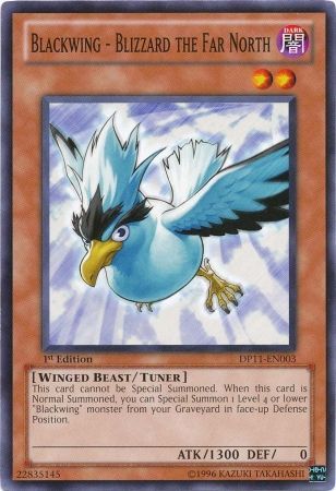 Blackwing - Blizzard the Far North - DP11-EN003 - Common - 1st Edition