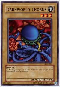 Darkworld Thorns - LOB-114 - Common - Unlimited