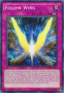 Follow Wing - MP16-EN224 - Common - 1st Edition