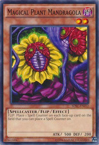 Magical Plant Mandragola - SDSC-EN012 - Common - 1st Edition