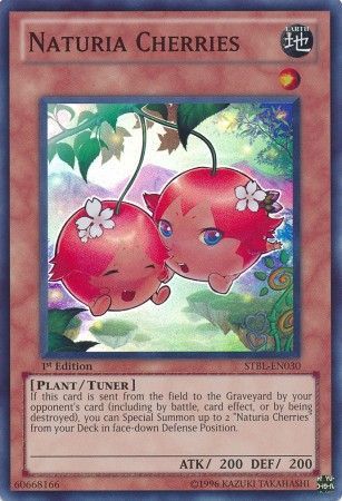 Naturia Cherries - STBL-EN030 - Super Rare - 1st Edition