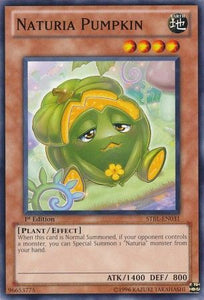 Naturia Pumpkin - STBL-EN031 - Common - 1st Edition