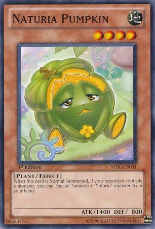 Naturia Pumpkin - STBL-EN031 - Common - 1st Edition