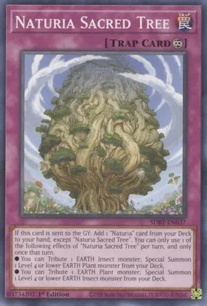 Naturia Sacred Tree - SDBT-EN037 - Common - 1st Edition