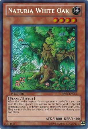 Naturia White Oak - HA04-EN051 - Secret Rare - 1st Edition