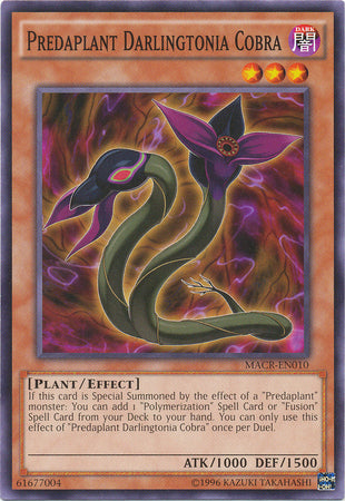 Predaplant Darlingtonia Cobra - MACR-EN010 - Common - Unlimited