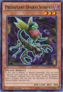 Predaplant Ophrys Scorpio - MACR-EN009 - Rare - 1st Edition