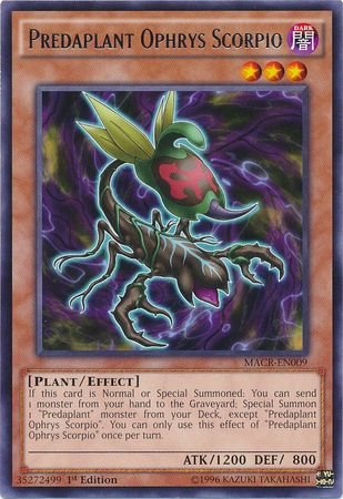 Predaplant Ophrys Scorpio - MACR-EN009 - Rare - 1st Edition