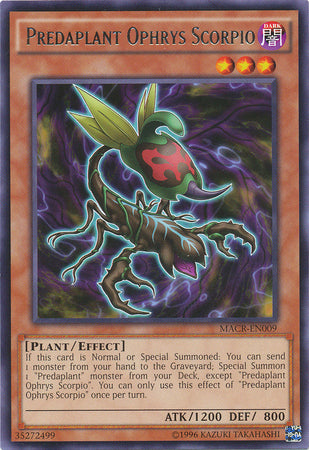 Predaplant Ophrys Scorpio - MACR-EN009 - Rare - Unlimited
