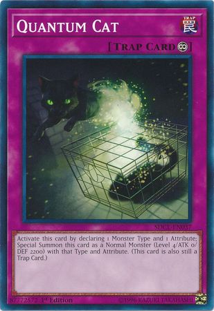 Quantum Cat - SDCL-EN037 - Common - 1st Edition