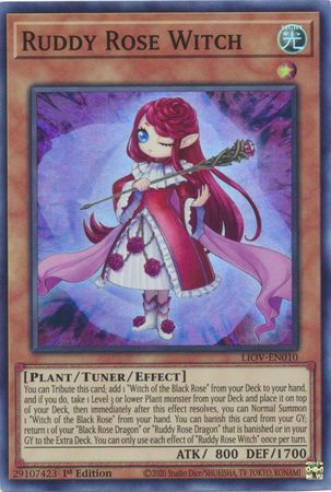 Ruddy Rose Witch - LIOV-EN010 - Super Rare - 1st Edition