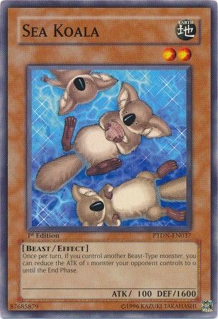 Sea Koala - PTDN-EN037 - Common - 1st Edition