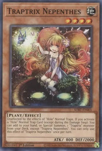 Traptrix Nepenthes - SDBT-EN005 - Common - 1st Edition